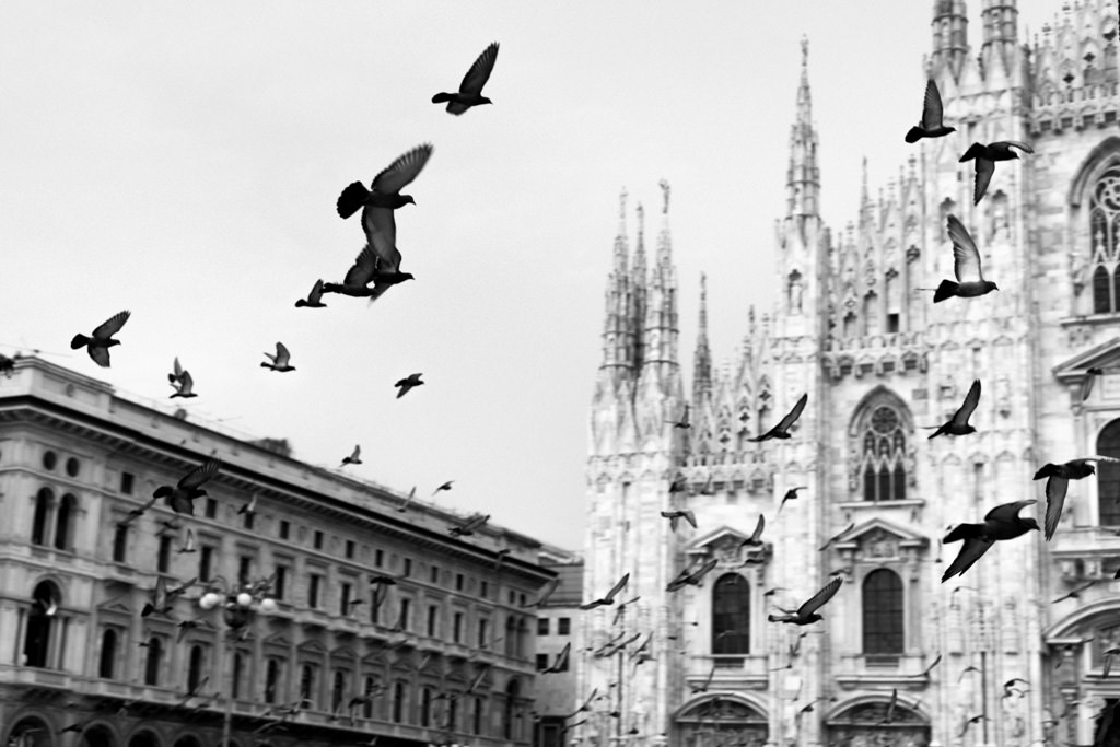 Workshop Fotografia Reportage Street Photography Milano