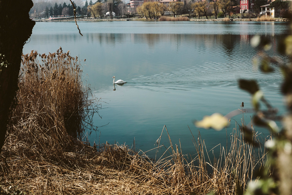 corso di fotografia